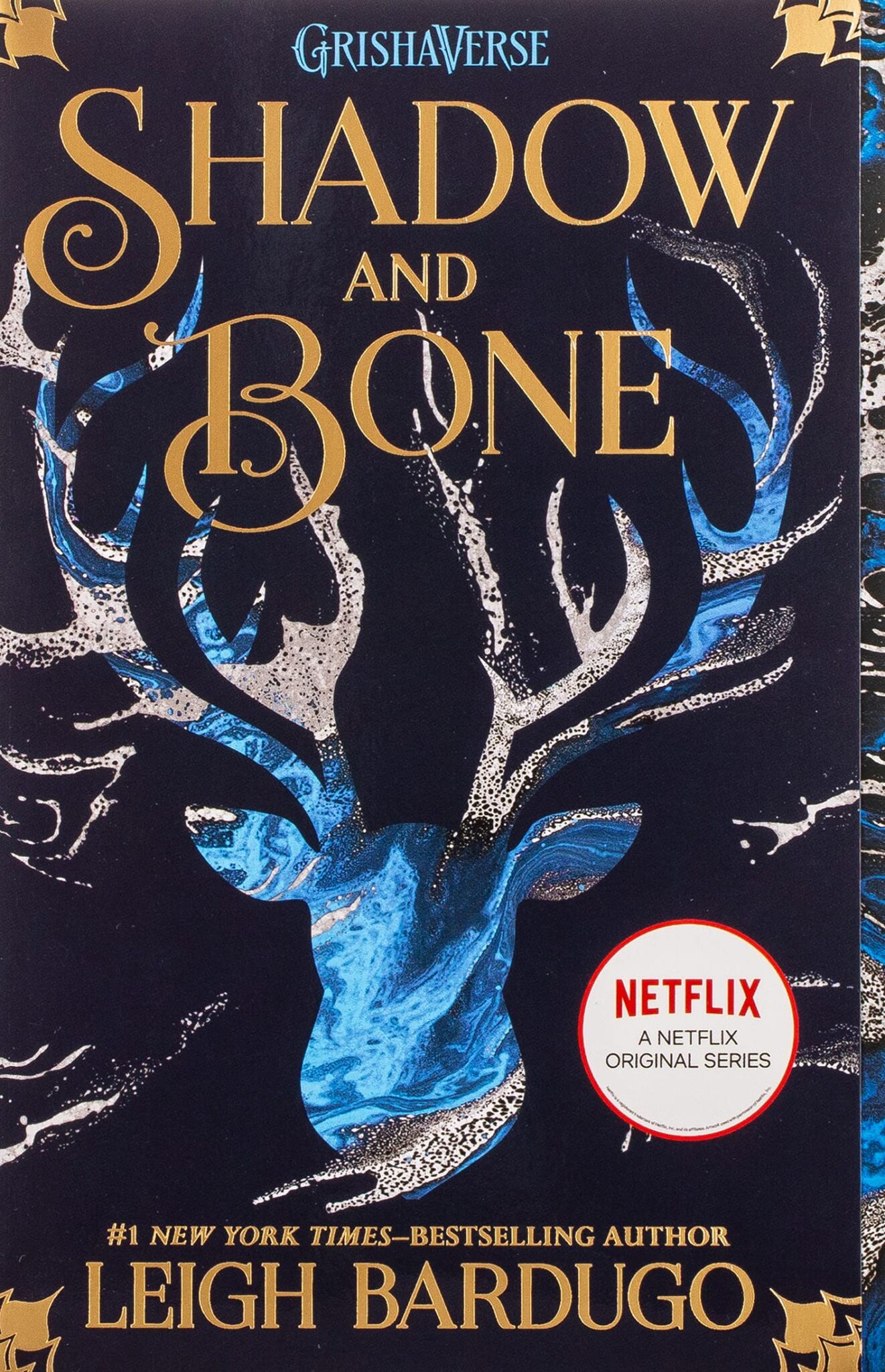 book review of shadow and bone