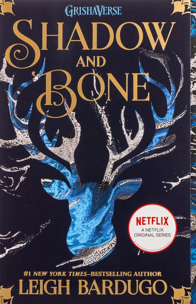 shadow and bone book